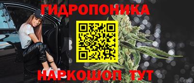 тгк Аргун