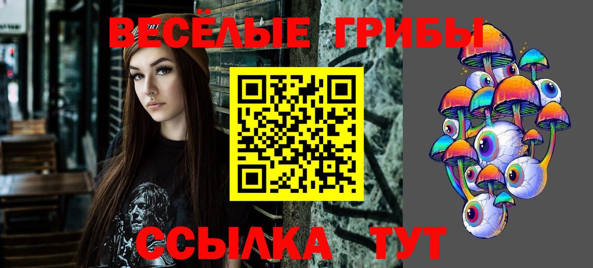 Большой Камень  Галлюциногенные грибы прущие грибы  как найти наркотики  Вход с VPN  Галлюциногенные грибы Psilocybine cubensis 
