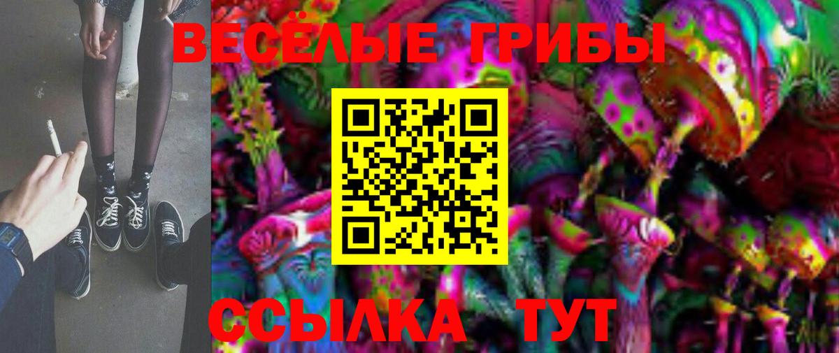 Псилоцибиновые грибы Cubensis Большой Камень